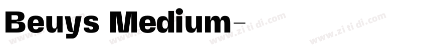 Beuys Medium字体转换